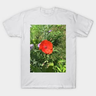 Little Red Poppy T-Shirt